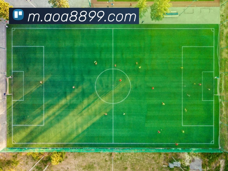 数据分析功能